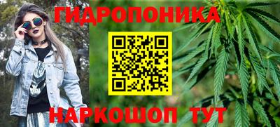 spice Берёзовский