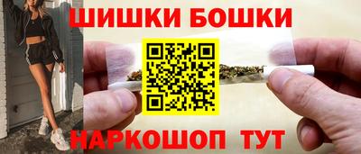 хмурый Бийск