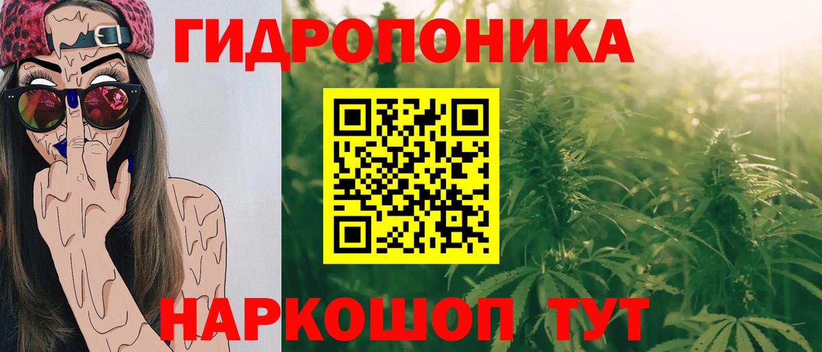 Киров  Шишки марихуана тримм  Вход с VPN  Канабис тримм 